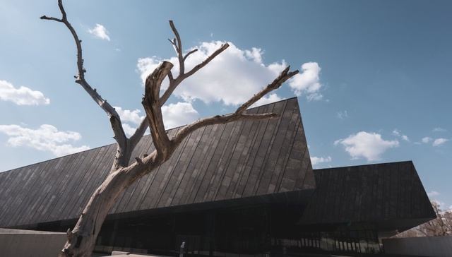 地方新闻精选 | 侵华日军第731部队细菌战新罪证史料公布 香格里拉首次拍到金钱豹影像