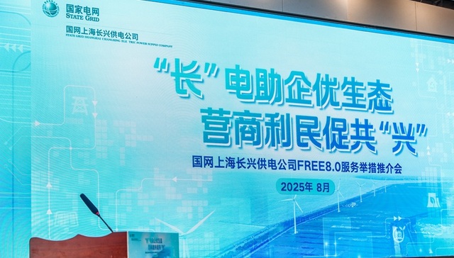 国网上海长兴供电公司,国网电力,营商环境,FREE8.0,服务举措,推介会,长兴特色办电举措,长兴岛