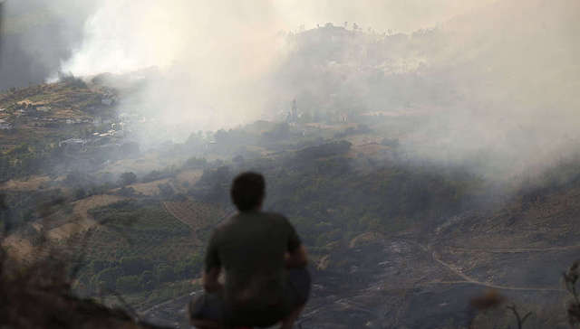热浪一轮接一轮，半个月里西班牙高温已致1149人死亡