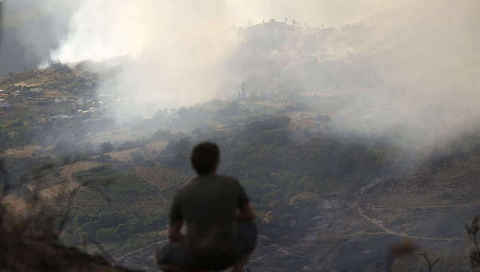 热浪一轮接一轮，半个月里西班牙高温已致1149人死亡