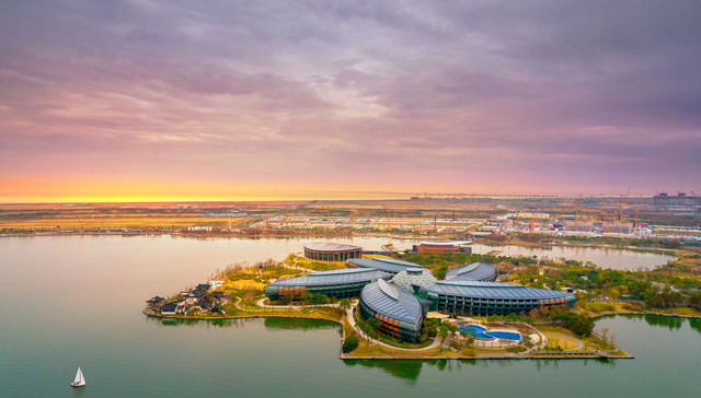 临港新片区6周年：一组数据见证“加速度”