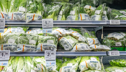 又丑又奇怪的蔬菜，却被各大餐饮店疯抢