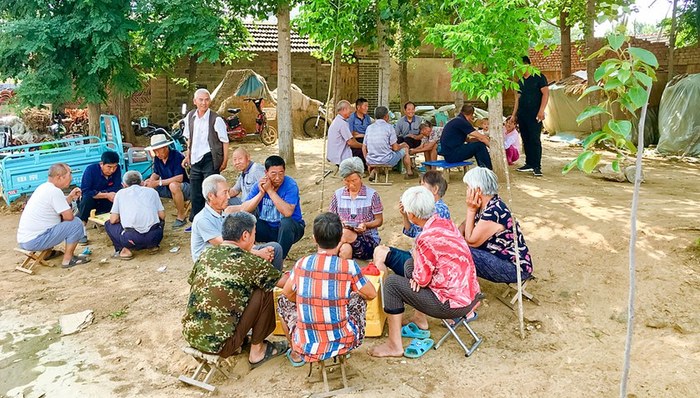 山东,审计局,养老保险,死亡人员