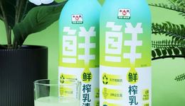被低估的奶酪“副产品”，早该火了