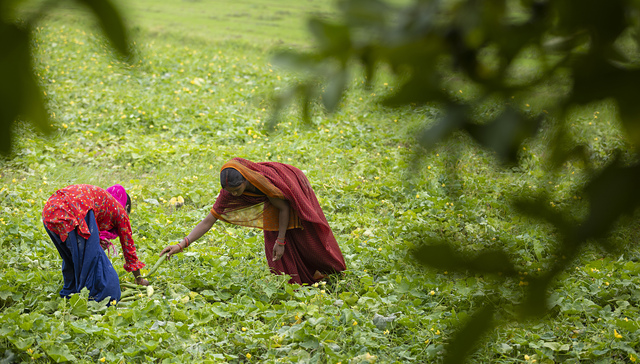 美国50%关税正式生效，或造成大量印度工人失业