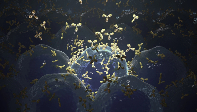 康方生物的“最热双抗”交出大涨业绩