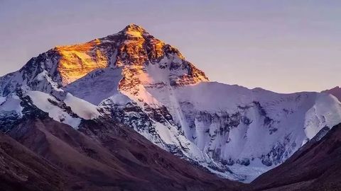 上海援藏推动日喀则好物赴约申城！日喀则特色商品即将亮相第八届上海市对口地区特色商品展销会