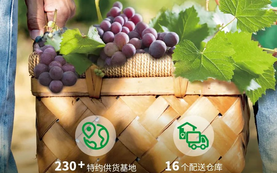 “水果零售第一股”逆风翻盘！单店毛利回升，结构优化初显成效