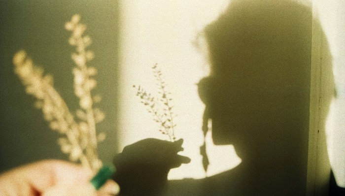 我在痛的战栗里，觅得了真我｜一周新书推荐