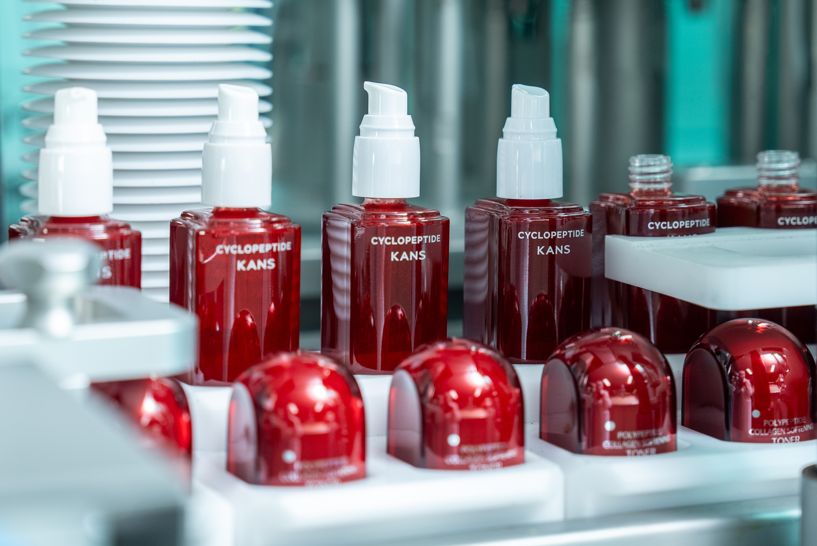 DSC08840 拷贝(1).jpg