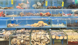 辐射全国，年销上百亿的水产市场，要搬了？