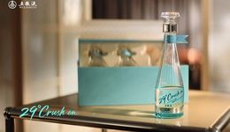 每瓶399元，鄧紫棋代言，29度五糧液年輕人買(mǎi)賬嗎？