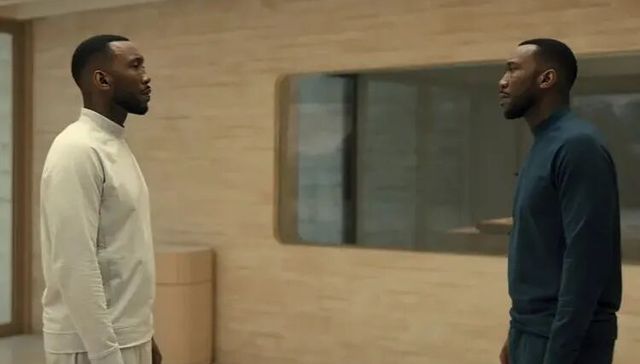 无招拥抱了陈立武