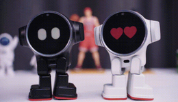 冰火两重天的AI陪伴硬件