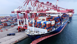 8月出口同比增速回落至4.4%，分析師：“轉(zhuǎn)出口”減弱下后續(xù)出口或受到抑制