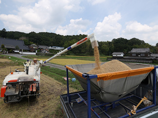 美日贸易协议开始实施，正冲击日本农协的利益