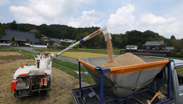 美日贸易协议开始实施，正冲击日本农协的利益