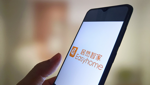 杨芳成居然智家实际控制人，系已故创始人汪林朋配偶