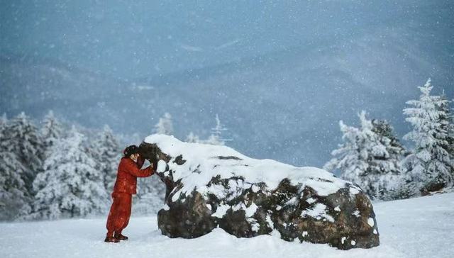 《生万物》：当土地叙事有一场“女性史诗”