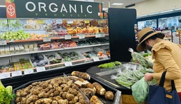 8月通胀巩固美联储下周降息预期，幅度大概率为25个基点