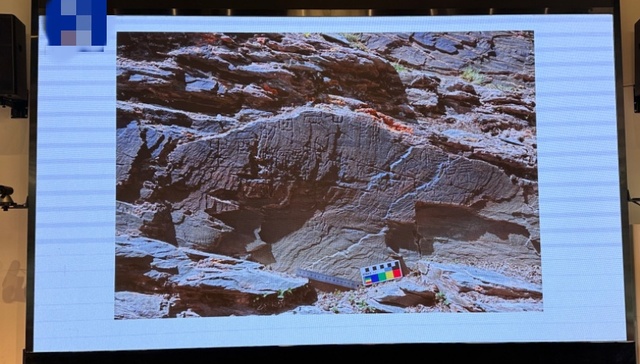 国家文物局认定青海“昆仑采药石刻”为真迹，定名尕日塘秦刻石