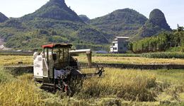 農(nóng)業(yè)農(nóng)村部：我國(guó)人均糧食占有量達(dá)到500公斤，糧食安全有保障