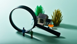 涉及城鎮(zhèn)居民和退休干部，農(nóng)業(yè)農(nóng)村部再?gòu)?qiáng)調(diào)宅基地改革兩條紅線