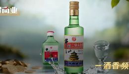 光瓶酒火了，牛栏山“凉了”？