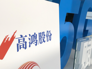股价仅0.46元！*ST高鸿锁定面值退市，九年虚增营收近200亿
