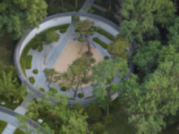 合生缦品牌的“韧性生长”：在不确定的市场做确定的产品