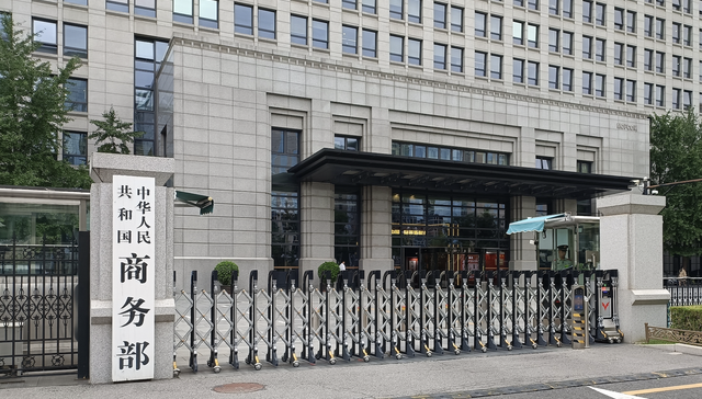 世贸组织,发展中国家,