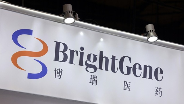 股价大跌后博瑞医药拟港股上市，全力押注减肥药出海