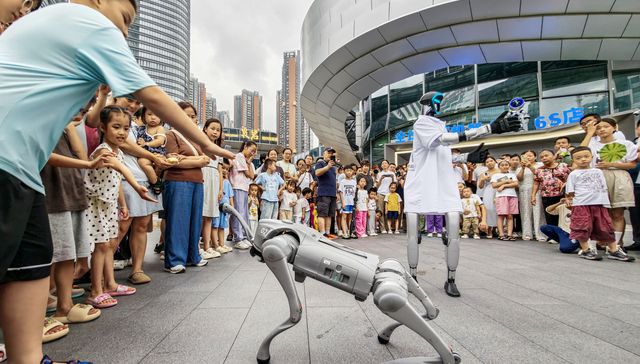 深圳龙岗ALL in AI：一个城区的操作系统重写