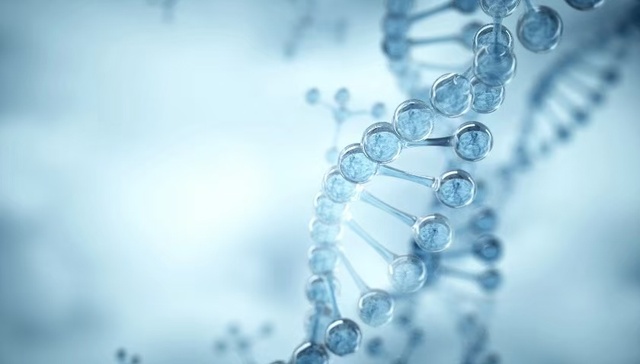 FDA官宣NMN合法地位，NAD+提升技术迎来普及时刻