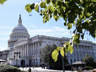 美参议院未通过临时预算案，联邦政府“停摆”危机持续
