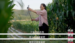 新農(nóng)人的浪漫在田間地頭