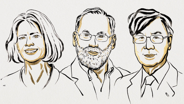 三名解答免疫系统如何受控的科学家获2025年诺贝尔生理学或医学奖