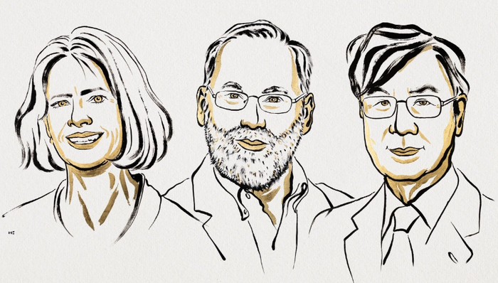 三名解答免疫系统如何受控的科学家获2025年诺贝尔生理学或医学奖