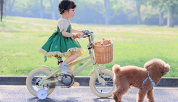 這么近那么美，全世界寶媽買童車看河北