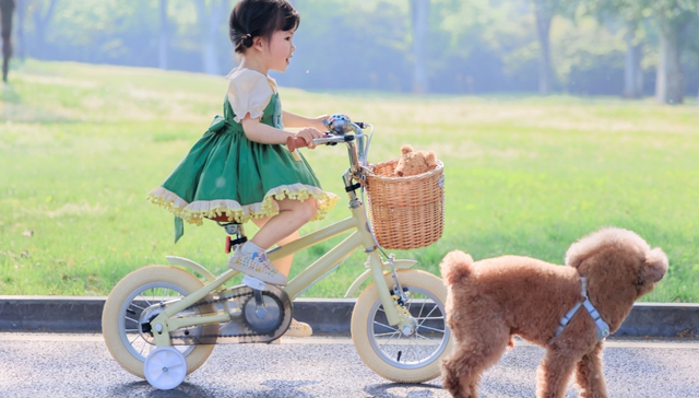 这么近那么美，全世界宝妈买童车看河北