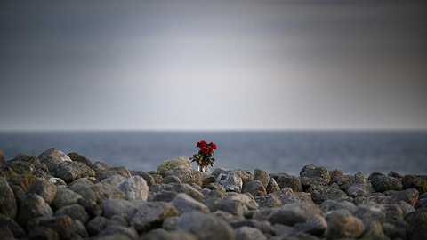 我们不怕死，只是我们在这个世界，拥有太多爱了 | 一周新书推荐