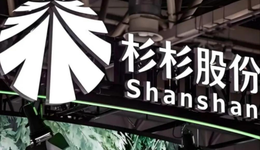 杉杉系继子后妈内斗无赢家，“民营船王”或成“接盘侠”