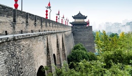 地方新聞精選 | 西安連續(xù)降雨1個(gè)多月遍地長(zhǎng)蘑菇 青島海關(guān)查獲“問(wèn)題地圖”6萬(wàn)張