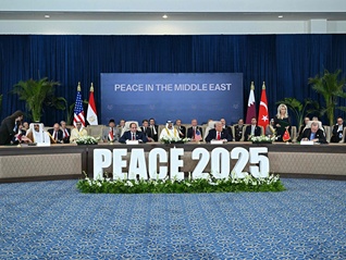 中东问题专家法撒赫：中企适合抓住加沙重建机会