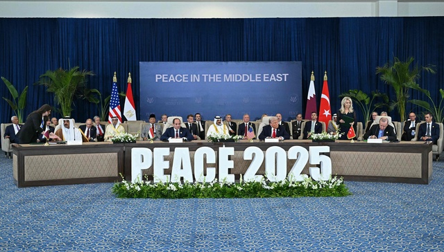 中东问题专家法撒赫：中企适合抓住加沙重建机会