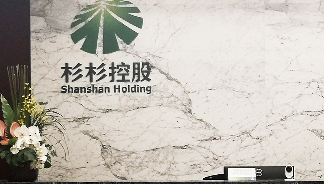 杉杉控股再被执行7亿元，已累计被执行超122亿