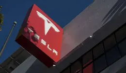 特斯拉正在“始祖鸟化”