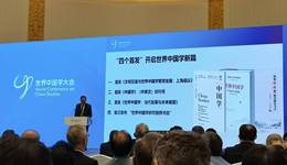 关于中国学，世界学者在关心什么？| 书单