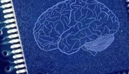 FDA力推的類器官芯片，國內(nèi)進展到哪了？