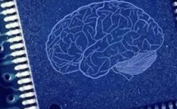 FDA力推的类器官芯片，国内进展到哪了？